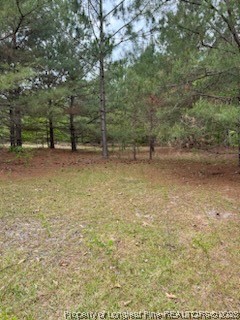 19.95-acres Deerstand Road Wade, NC 28395 - Photo 2 of 5 Gallery Image 2