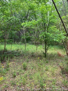 19.95-acres Deerstand Road Wade, NC 28395 - Photo 3 of 5 Gallery Image 3