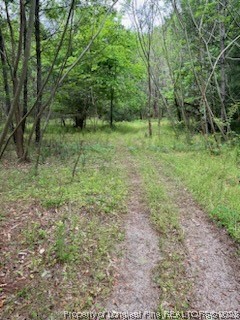 19.95-acres Deerstand Road Wade, NC 28395 - Photo 4 of 5 Gallery Image 4