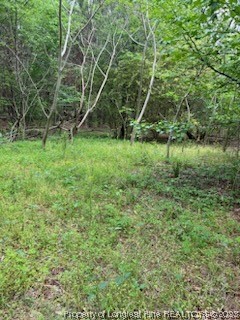 19.95-acres Deerstand Road Wade, NC 28395 - Photo 5 of 5 Gallery Image 5