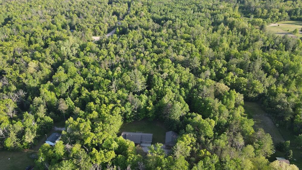 4335 Kings Corner Road Glennie, MI 48737 - Photo 28 of 90 DJI_0839