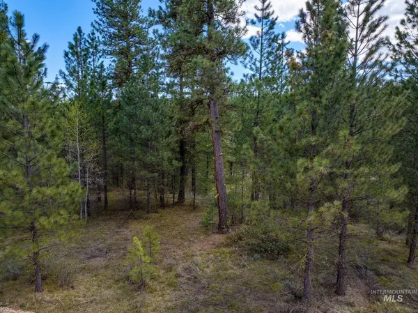 $245,000 | Lot 8 Star Creek, Idaho City, ID 83631