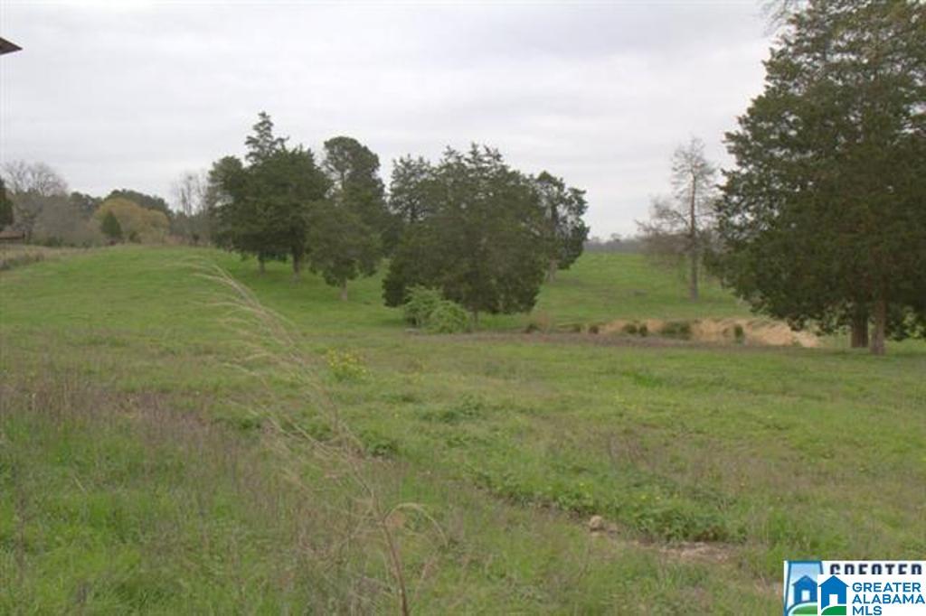 3054 Greensport Road, Unit 141 ACRES Ashville, AL 35953 - Photo 8 of 23