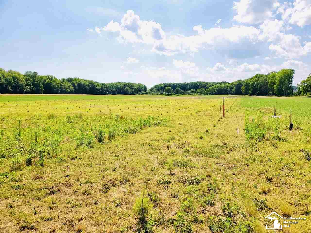 14365 Briar Hill Road Carleton, MI 48117 - Photo 6 of 8 Gallery Image 6