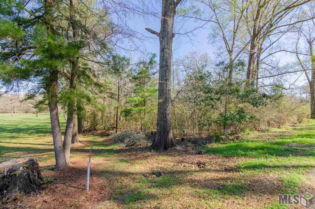 43338 Riverside Drive Prairieville, LA 70769 - Photo 2 of 6 Gallery Image 2