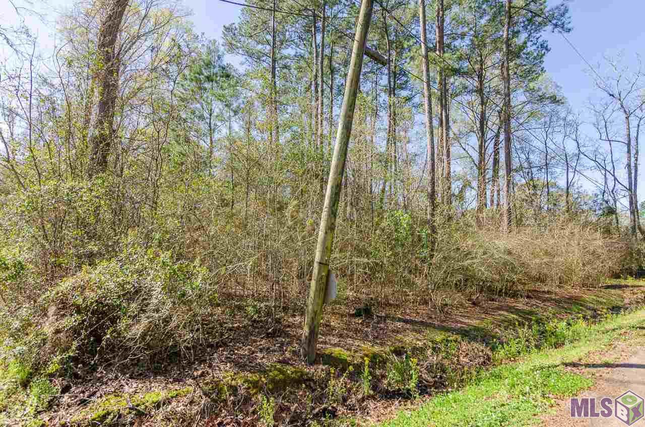 43338 Riverside Drive Prairieville, LA 70769 - Photo 3 of 6 Gallery Image 3