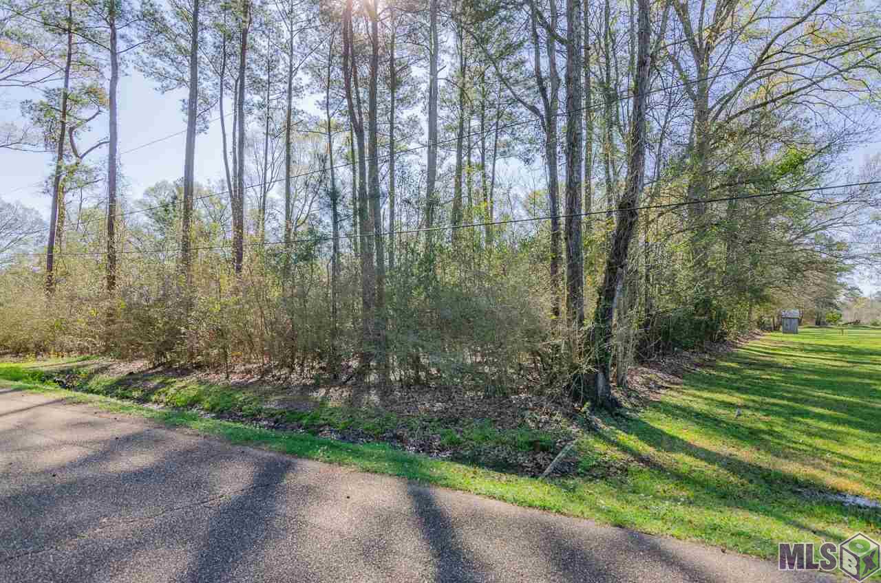 43338 Riverside Drive Prairieville, LA 70769 - Photo 5 of 6 Gallery Image 5