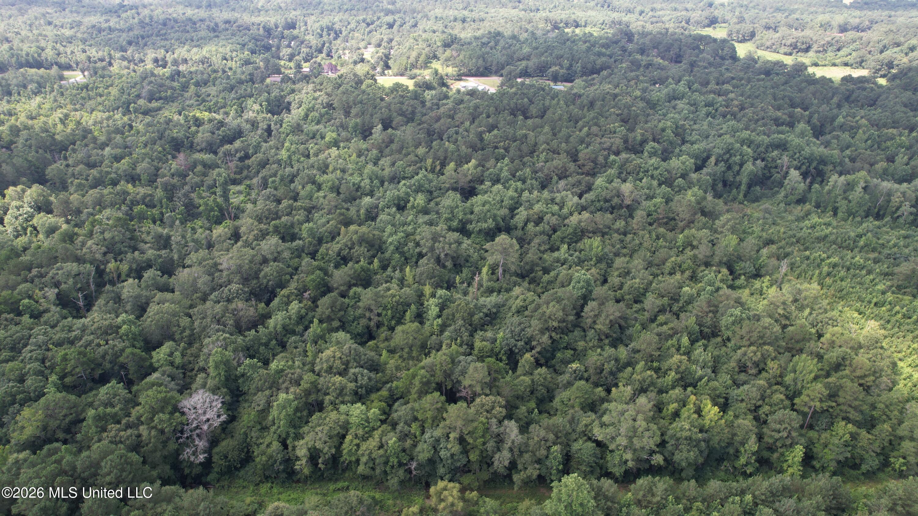 Jones Chapel Road Collins, MS 39428 - Photo 1 of 8 dji_fly_20260629_102342_206_178274675600