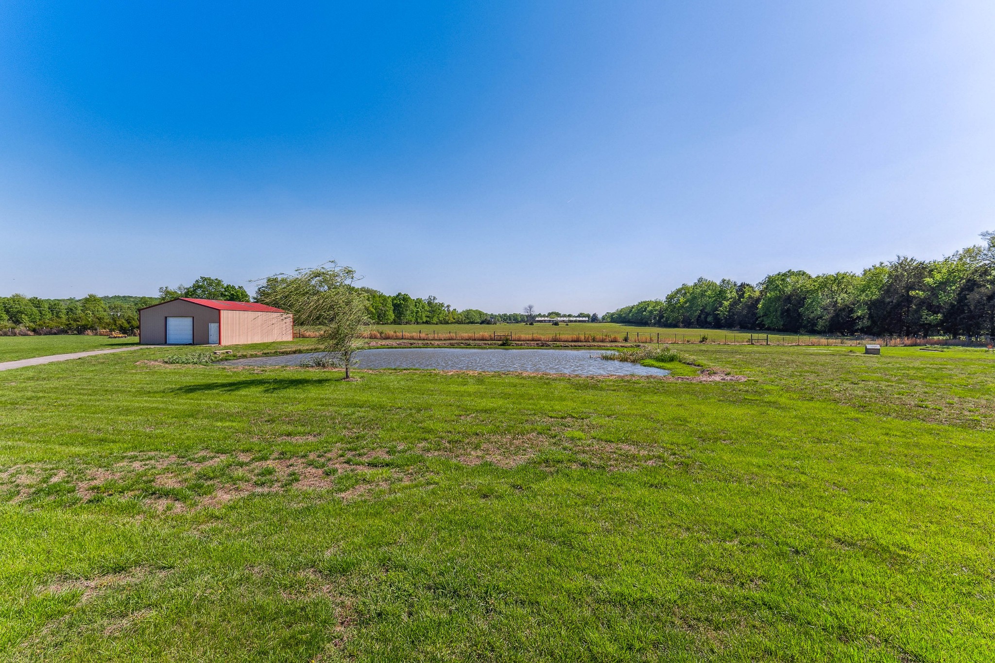 5592 Cedar Grove Road Murfreesboro, TN 37127 - Photo 29 of 43 This is the back yard view of the acreage, complete with pond stocked with fish! The detached shop/garage is off to the left and has a concrete drive, metal roof, one garage door and a walk-through door!