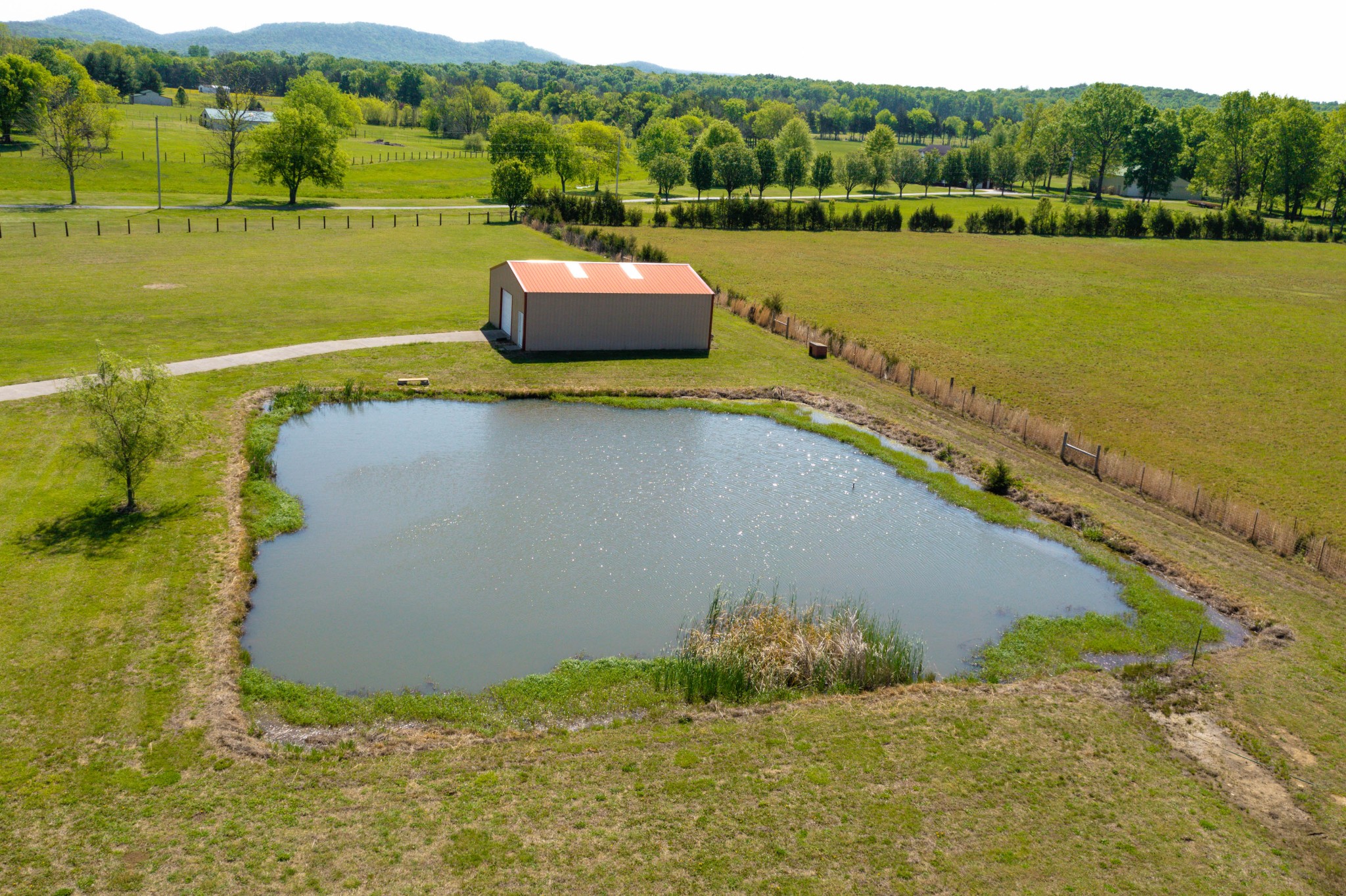 5592 Cedar Grove Road Murfreesboro, TN 37127 - Photo 39 of 43 The "fishing hole"! This is also a home for a couple of geese! Beautiful hills off in the distance!