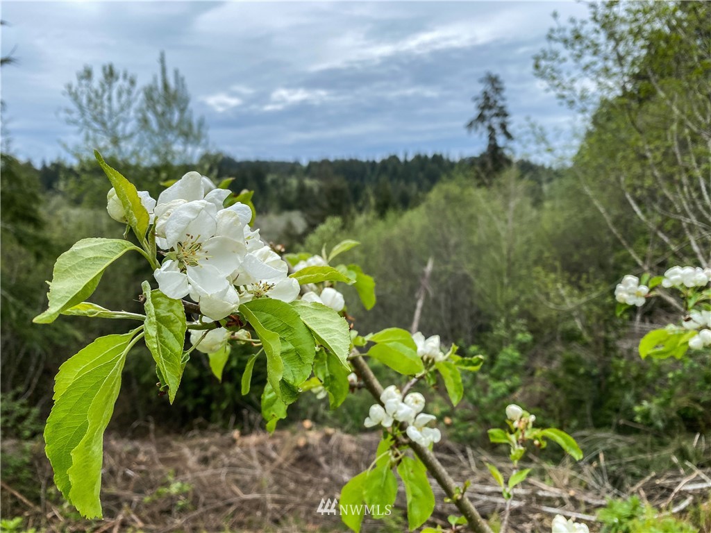 89 Sylvia Ridge Lane Montesano, WA 98563 - Photo 39 of 39 Gallery Image 39