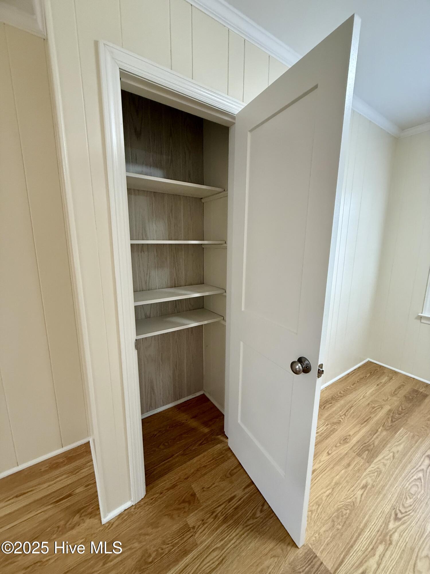 114 Beech Lane Washington, NC 27889 - Photo 28 of 52 Pantry Closet