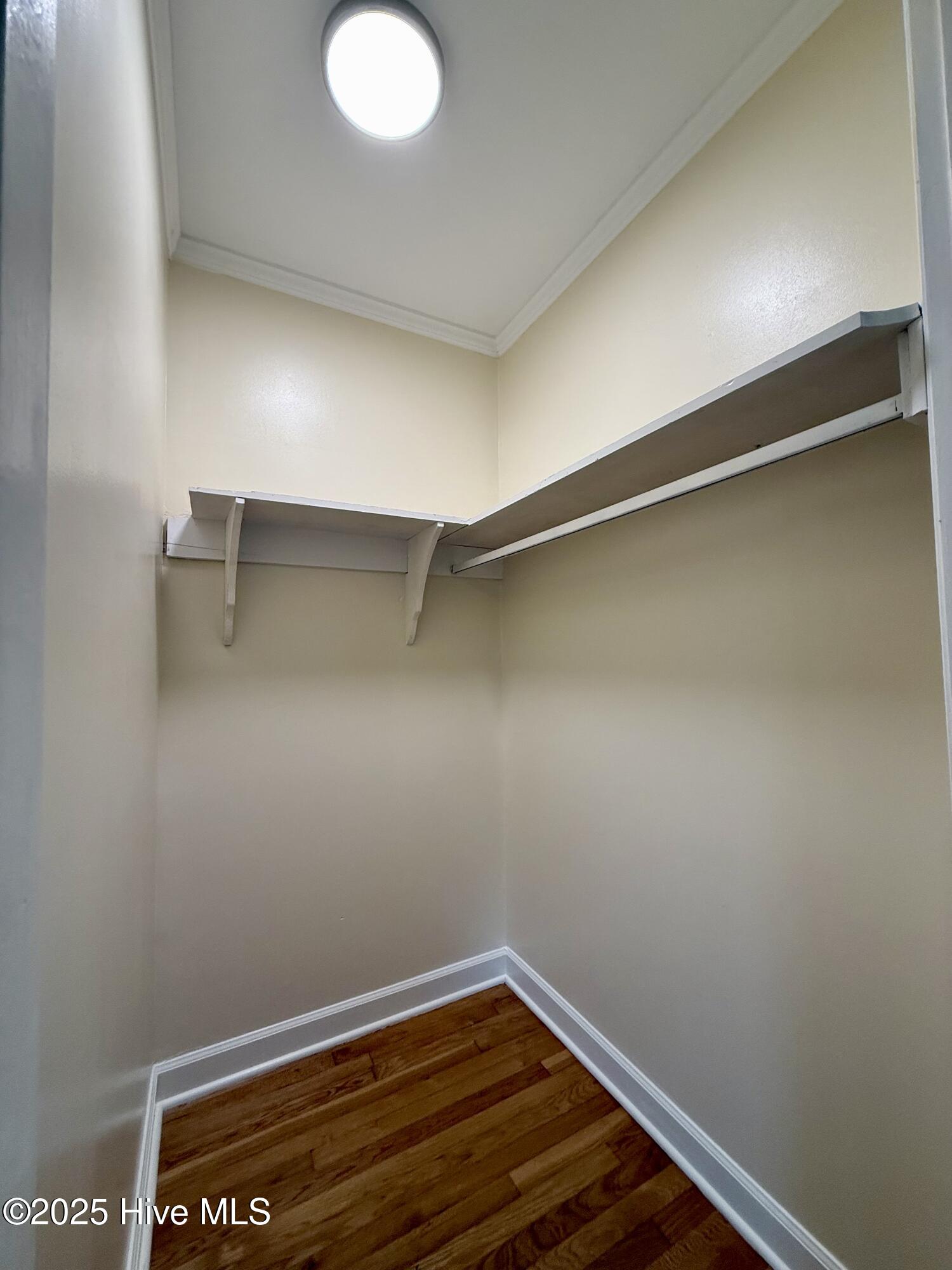 114 Beech Lane Washington, NC 27889 - Photo 44 of 52 Walk-in Closet