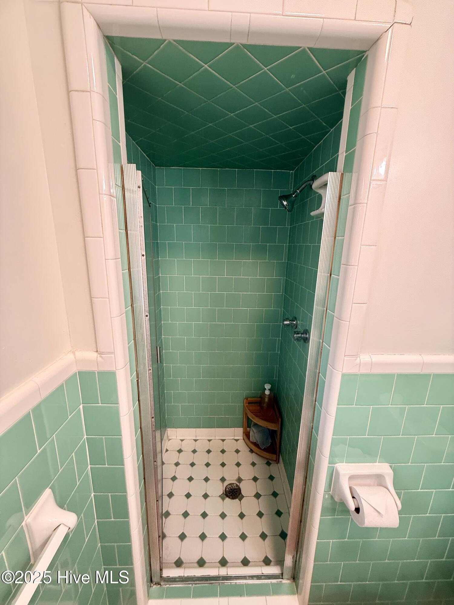 114 Beech Lane Washington, NC 27889 - Photo 46 of 52 Master Bathroom