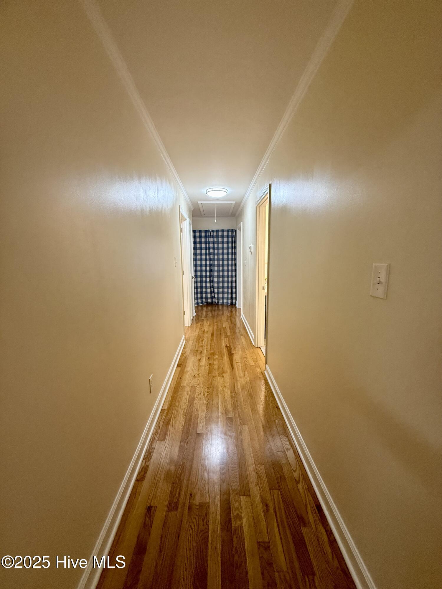 114 Beech Lane Washington, NC 27889 - Photo 48 of 52 Hallway