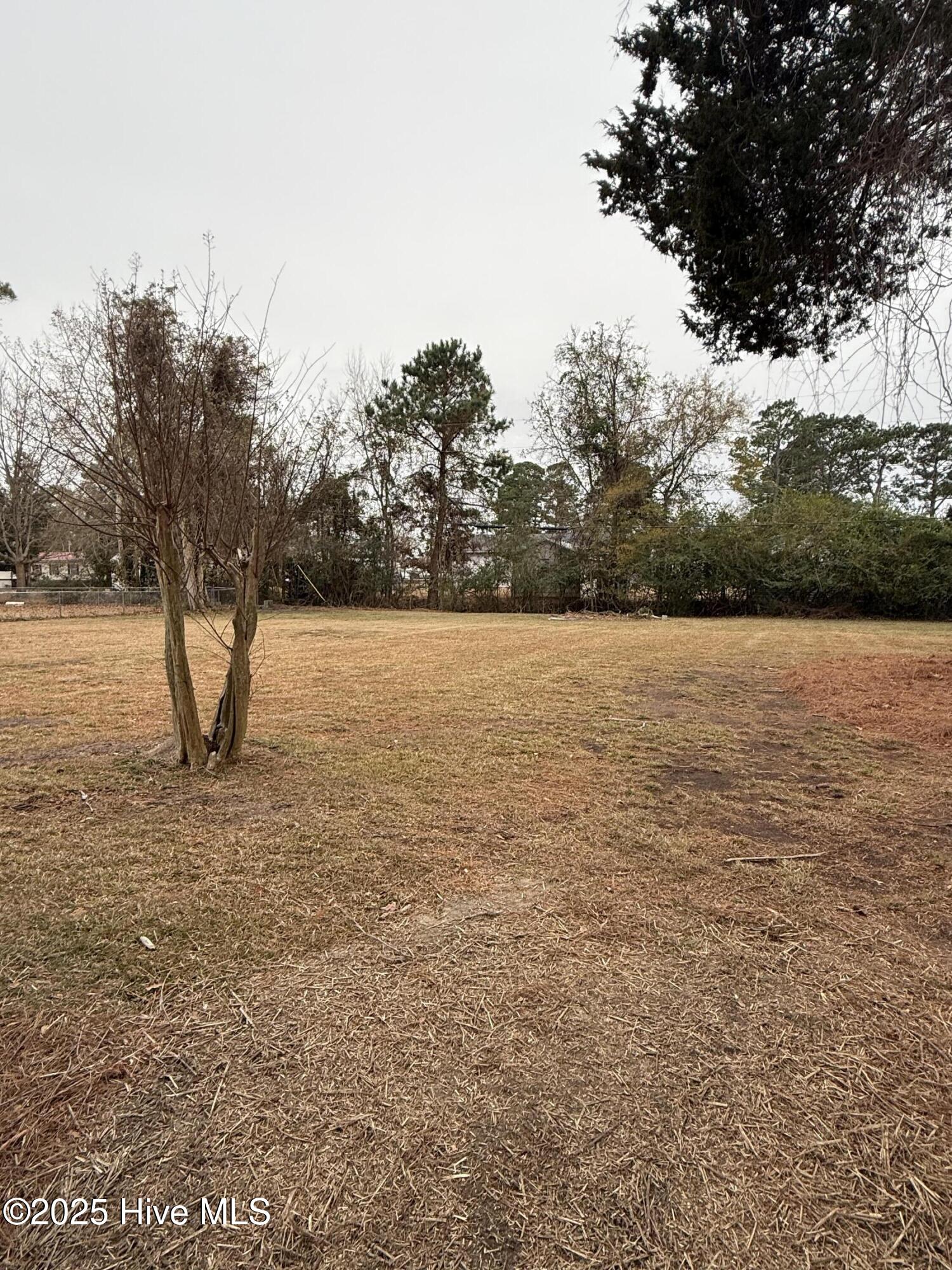 114 Beech Lane Washington, NC 27889 - Photo 9 of 52 Back Yard