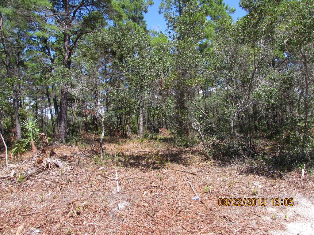 1931 Cape Street Carrabelle, FL 32322 - Photo 2 of 5