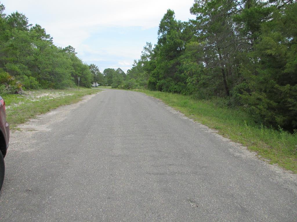 1931 Cape Street Carrabelle, FL 32322 - Photo 4 of 5