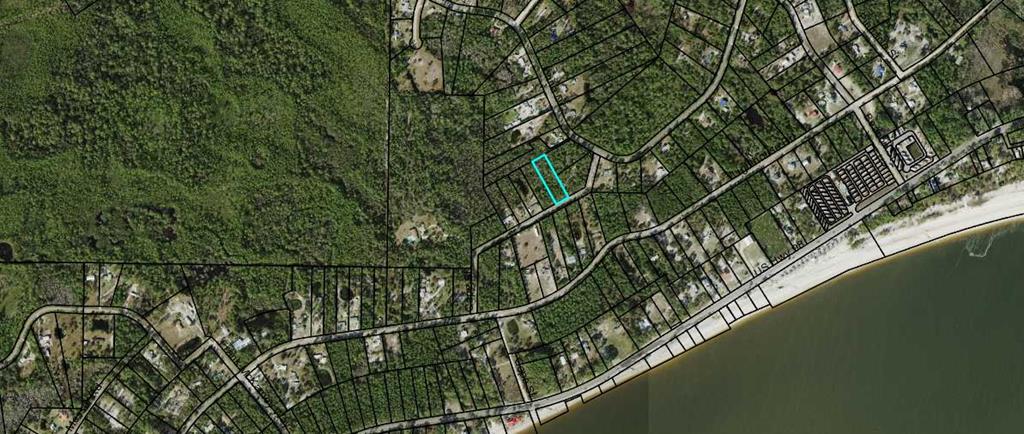 1931 Cape Street Carrabelle, FL 32322 - Photo 5 of 5