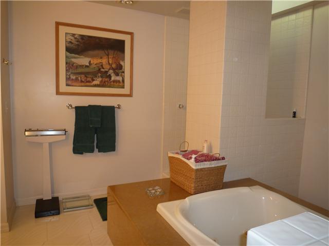 12152 Gay Rio Drive Lakeside, CA 92040 - Photo 23 of 24 spa tub in master bath. Shower is at upper right