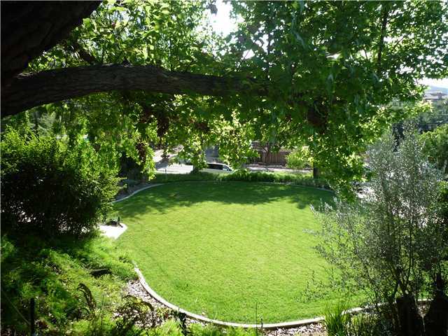 12152 Gay Rio Drive Lakeside, CA 92040 - Photo 4 of 24 Front lawn