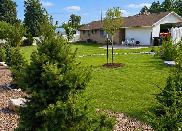 1020 Wilmar Place Centerville, UT 84014 - Photo 19 of 22 Expansive green lawn with established landscaping, including evergreen shrubs and a young tree