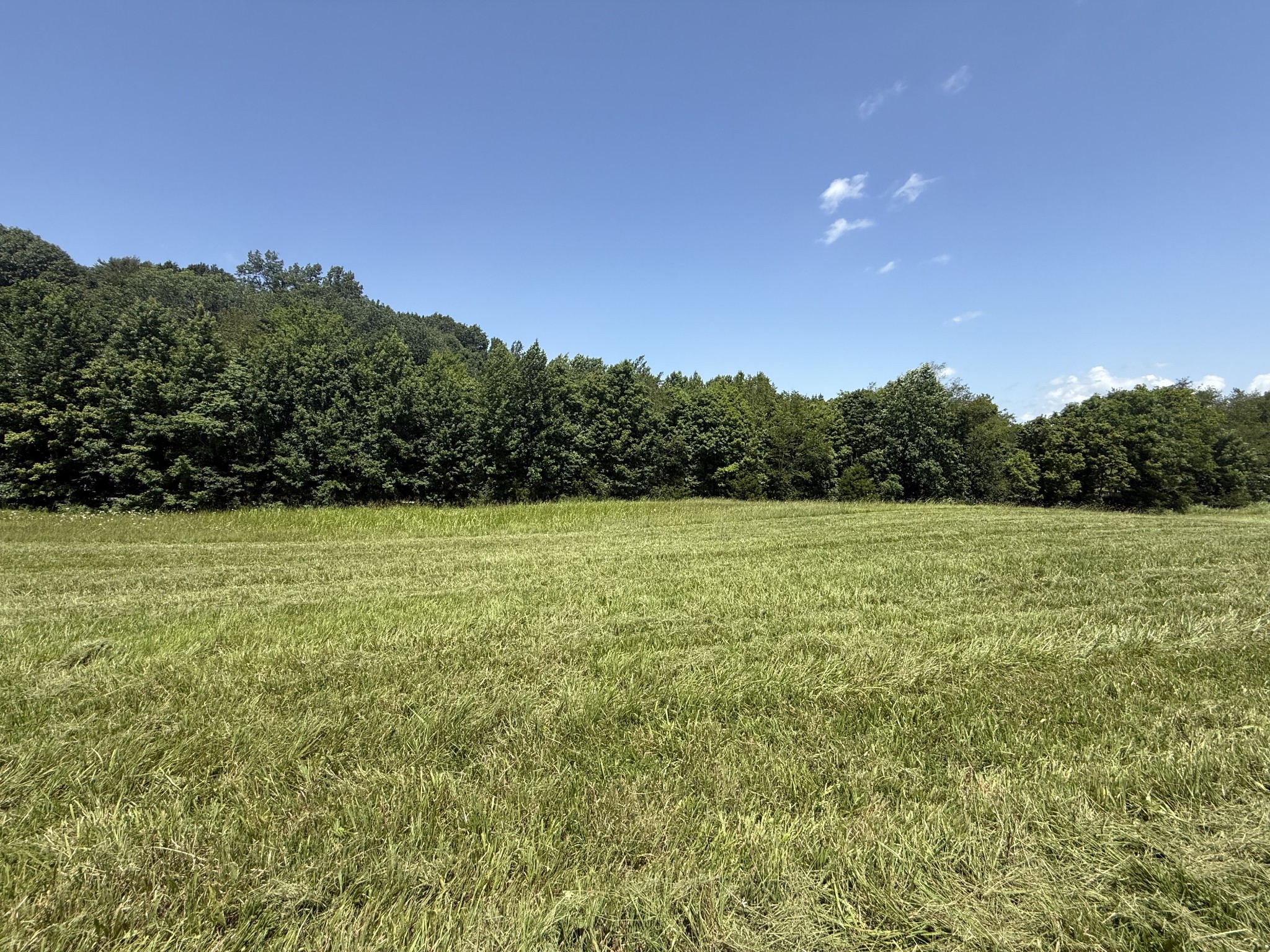 5 Pace Road Clarksville, TN 37043 - Photo 18 of 20 a view of a garden