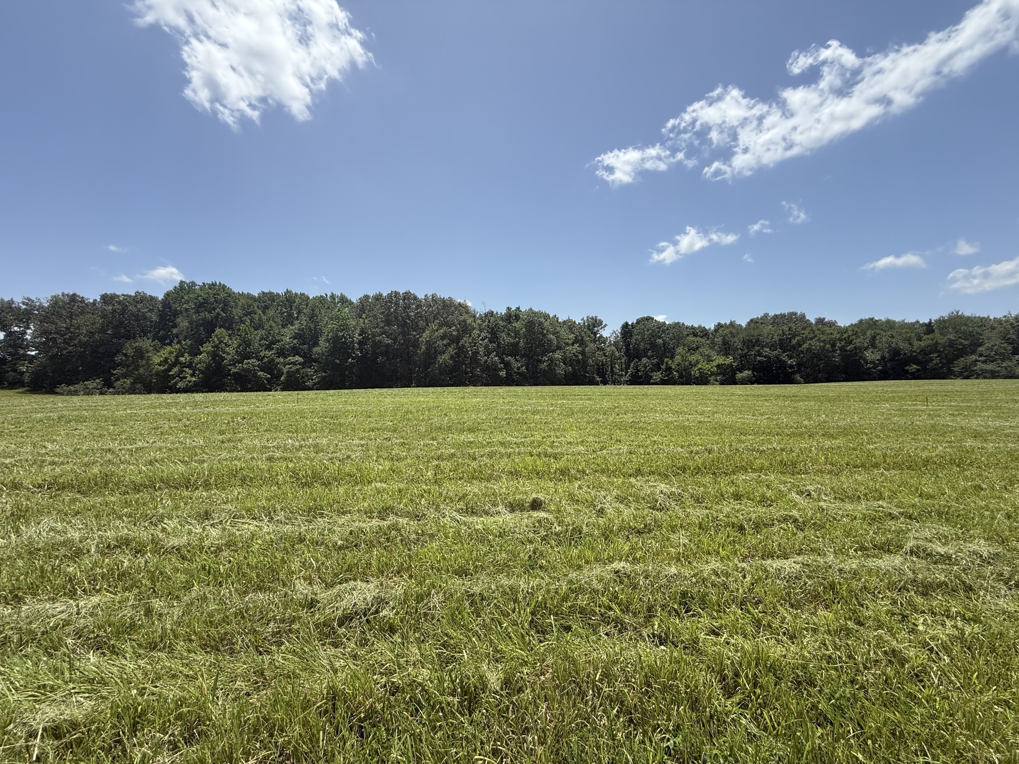 5 Pace Road Clarksville, TN 37043 - Photo 5 of 10