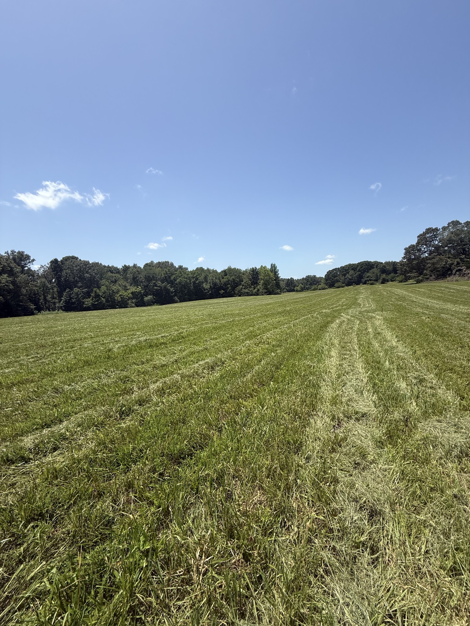 5 Pace Road Clarksville, TN 37043 - Photo 6 of 10