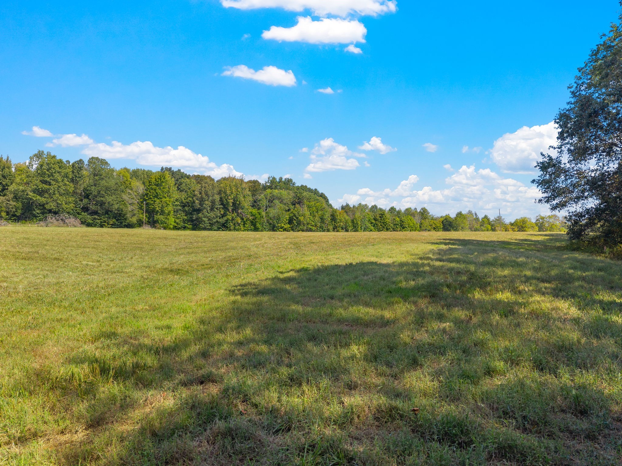 5 Pace Road Clarksville, TN 37043 - Photo 9 of 10