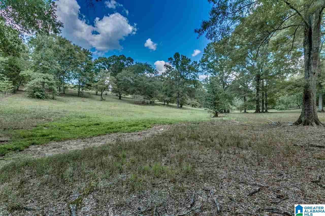 184 Jenkins Farm Road Helena, AL 35080 - Photo 13 of 25