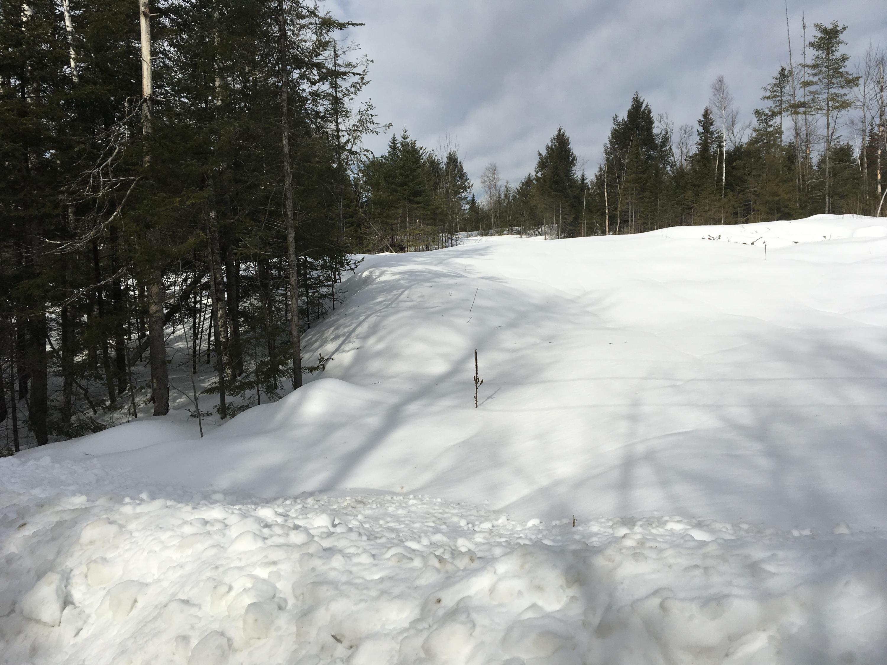 Lot 23 Burough Road Dover-Foxcroft, ME 04426 - Photo 2 of 15 Photo Feb 05, 11 27 33 AM