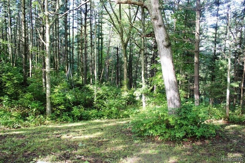 5766 Casey Road Dryden, MI 48428 - Photo 20 of 26