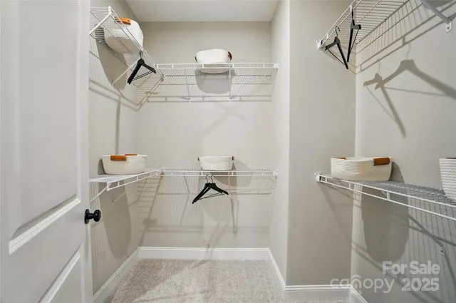 a bathroom with a shower and a sink