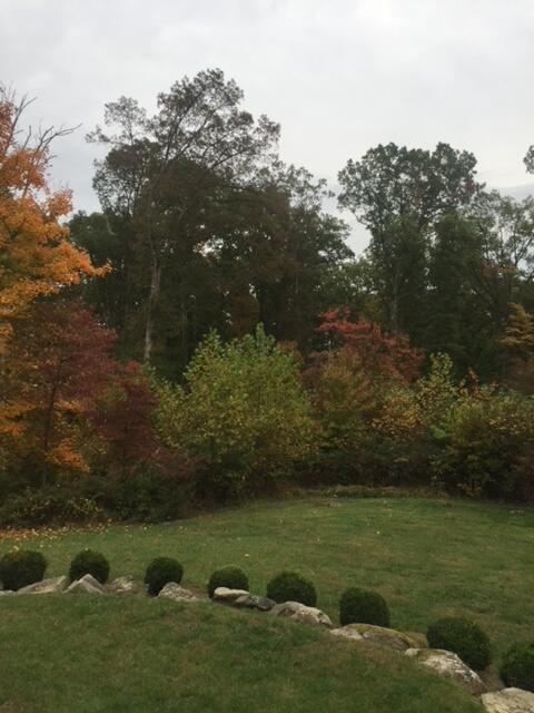 8590 Lavelle Road Athens, OH 45701 - Photo 88 of 113 Seasonal Pics