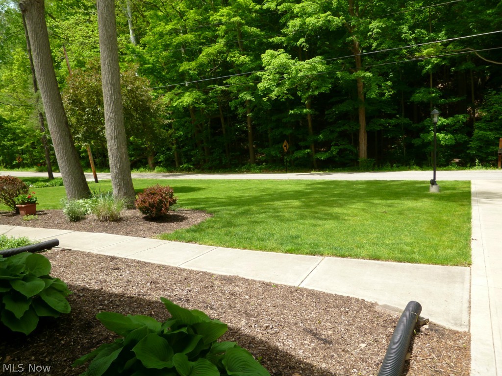 6432 Fay Road Painesville, OH 44077 - Photo 25 of 25 The front lot and overlooking the wooded, private nature across the street.