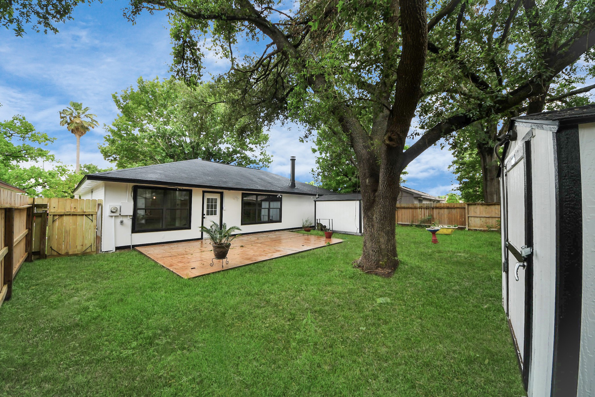 20010 Cottonglade Lane Humble, TX 77338 - Photo 24 of 27 a view of a house with backyard and a tree