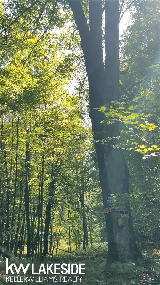 Nhn North 27th Road Mesick, MI 49668 - Photo 11 of 11