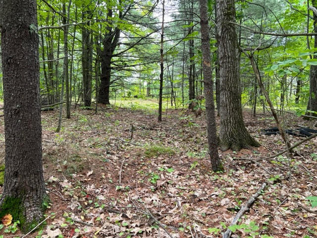 Tbd Church Hill Road Augusta, ME 04330 - Photo 9 of 13 unnamed-3