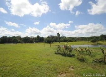 415 Stacy Grove Road Oak Hill, FL 32759 - Photo 6 of 25 a view of a lake with houses in the back