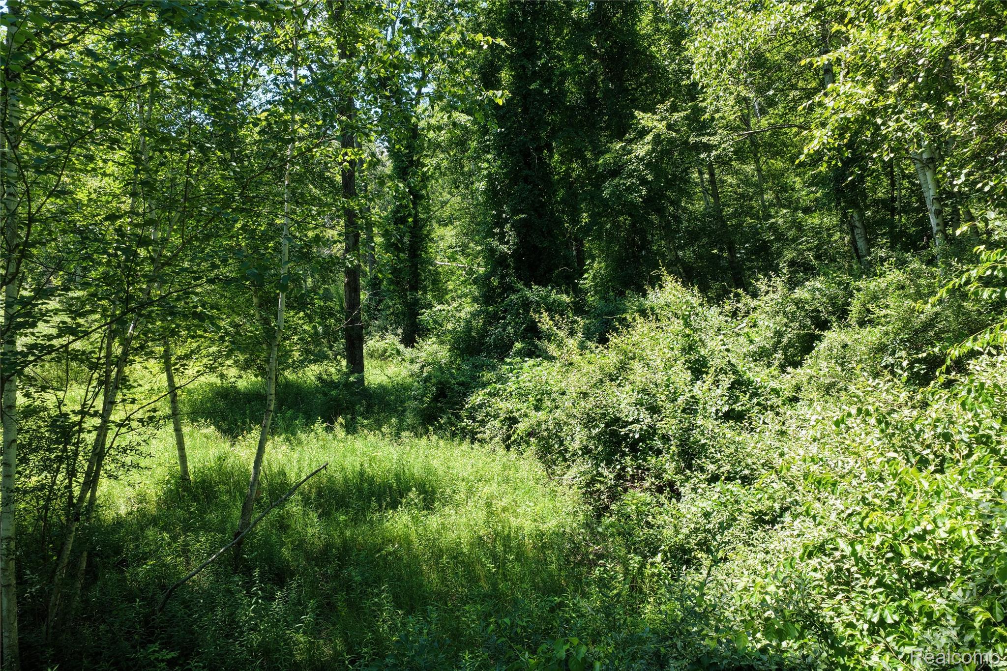 2898 A Lakeshore Road Applegate, MI 48401 - Photo 14 of 17 14.JPG