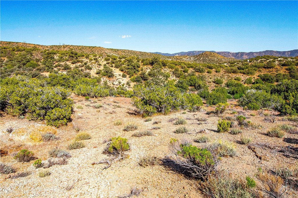 26000 Arabian Place Tehachapi, CA 93561 - Photo 8 of 17 a view of mountain view with an ocean