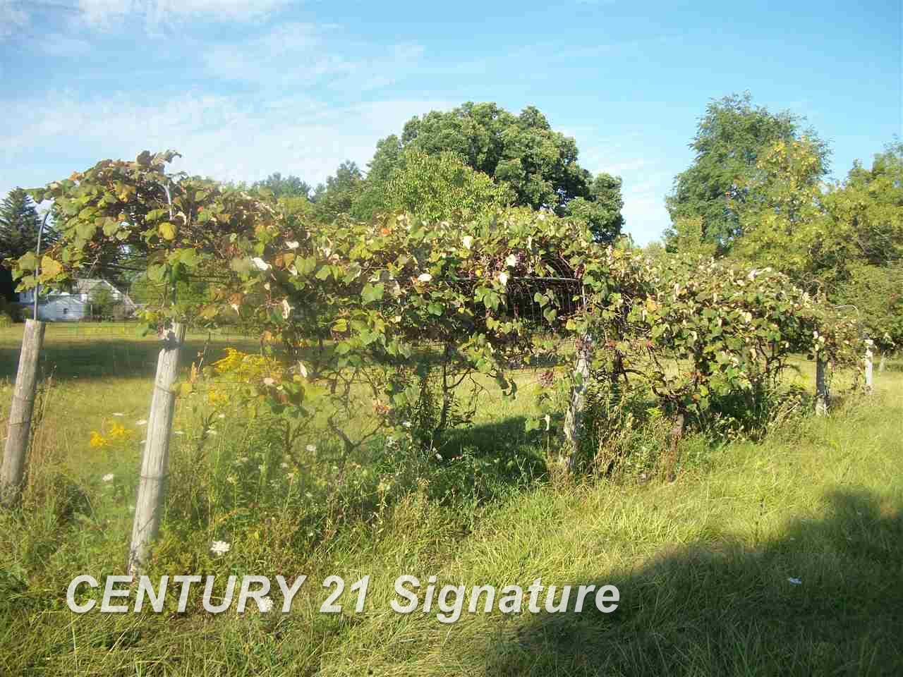 10621 Dice Road Freeland, MI 48623 - Photo 22 of 22