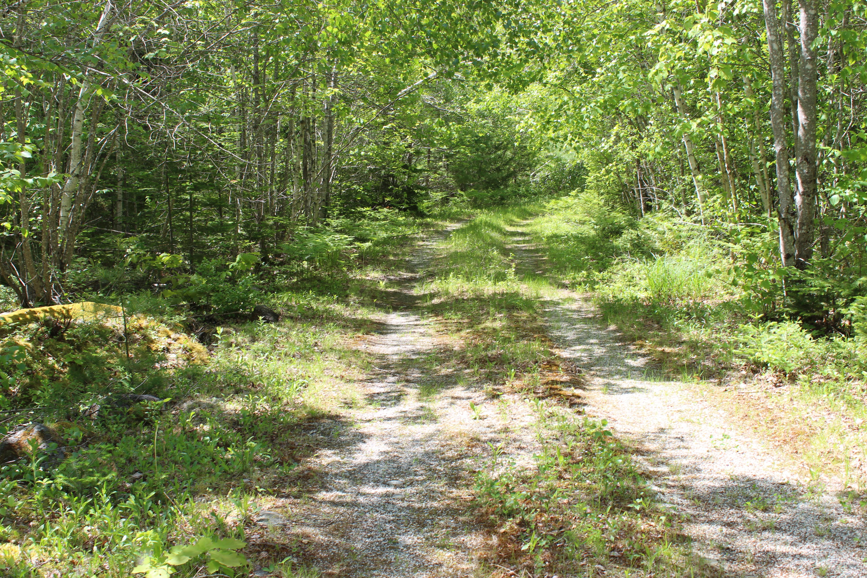 1511 Bucksport Road Ellsworth, ME 04605 - Photo 6 of 41 IMG_8512