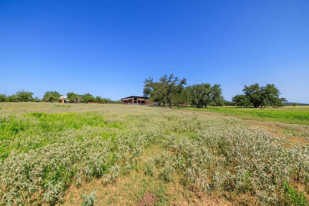 234 Nelson-rouse Road Fredericksburg, TX 78624 - Photo 37 of 41 a view of a field with trees in background