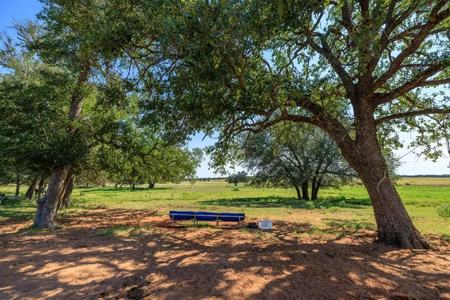 a view of a yard with a tree