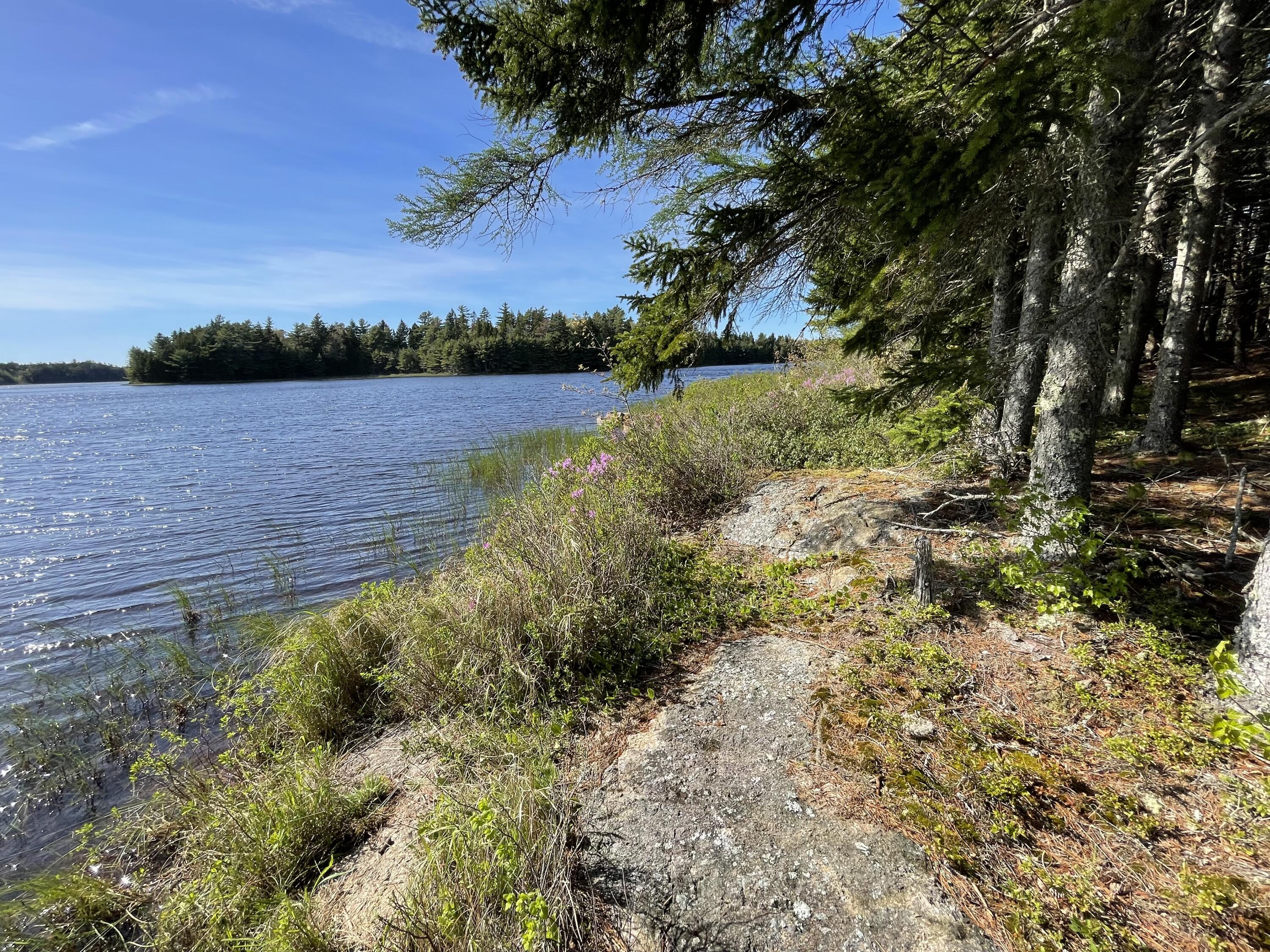 154 Cemetery Road Whiting, ME 04691 - Photo 7 of 16 IMG_4723