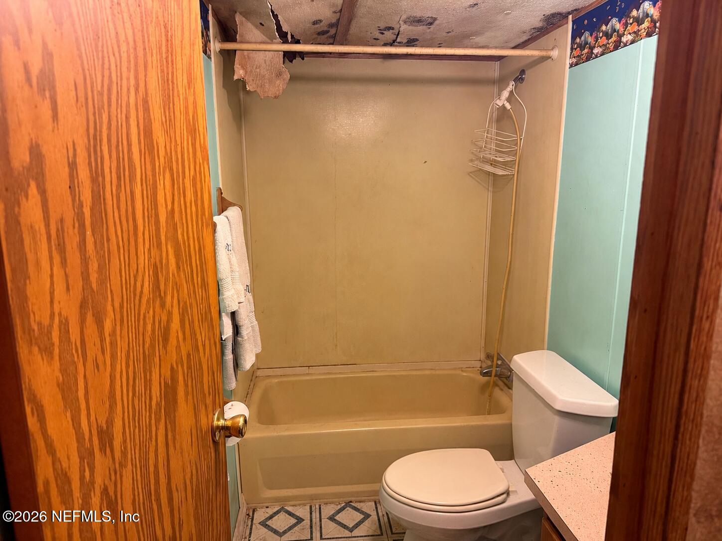 1056 Bellamy Road Melrose, FL 32666 - Photo 38 of 59 ChatGPT Image Jun 4, 2026, 09_14_17 AM (