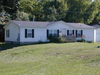 10981 Elizabeth Drive Three Rivers, MI 49093 - Photo 1 of 3 Primary Photo
