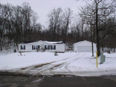 10981 Elizabeth Drive Three Rivers, MI 49093 - Photo 2 of 3 Additional Photo